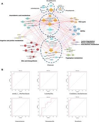 Construction of a “Bacteria-Metabolites” Co-Expression Network to Clarify the Anti–Ulcerative Colitis Effect of Flavonoids of <mark class="highlighted">Sophora flavescens</mark> Aiton by Regulating the “Host–Microbe” Interaction